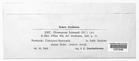 Image Associated With the Occurence